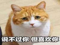 德雷克科技（成都）有限公司