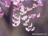 德雷克科技（成都）有限公司