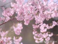 德雷克科技（成都）有限公司