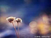 德雷克科技（成都）有限公司