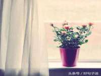 德雷克科技（成都）有限公司