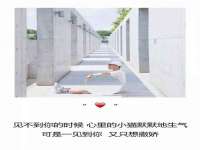 德雷克科技（成都）有限公司