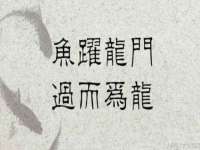 德雷克科技（成都）有限公司