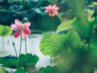 德雷克科技（成都）有限公司