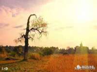 德雷克科技（成都）有限公司