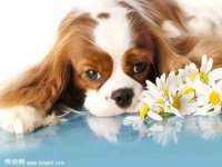 德雷克科技（成都）有限公司