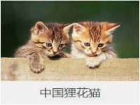 德雷克科技（成都）有限公司