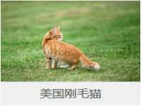 德雷克科技（成都）有限公司
