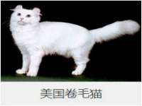 德雷克科技（成都）有限公司