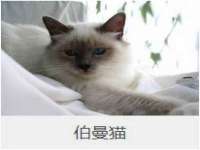 德雷克科技（成都）有限公司