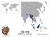 德雷克科技（成都）有限公司