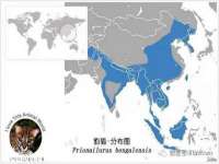 德雷克科技（成都）有限公司