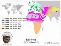 德雷克科技（成都）有限公司