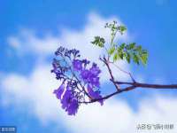 德雷克科技（成都）有限公司