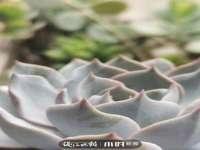 德雷克科技（成都）有限公司