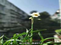 德雷克科技（成都）有限公司