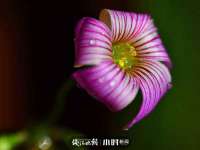 德雷克科技（成都）有限公司