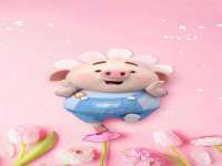 德雷克科技（成都）有限公司
