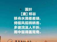德雷克科技（成都）有限公司