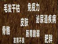 德雷克科技（成都）有限公司