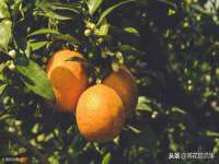 德雷克科技（成都）有限公司