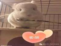 德雷克科技（成都）有限公司