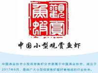 德雷克科技（成都）有限公司