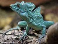 德雷克科技（成都）有限公司