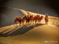 德雷克科技（成都）有限公司