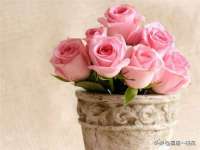 德雷克科技（成都）有限公司