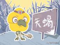 德雷克科技（成都）有限公司