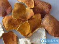 德雷克科技（成都）有限公司