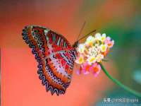 德雷克科技（成都）有限公司