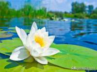 德雷克科技（成都）有限公司