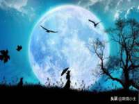 德雷克科技（成都）有限公司