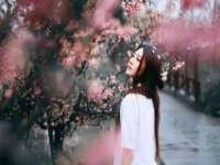 德雷克科技（成都）有限公司