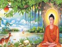 德雷克科技（成都）有限公司