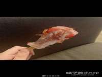 德雷克科技（成都）有限公司